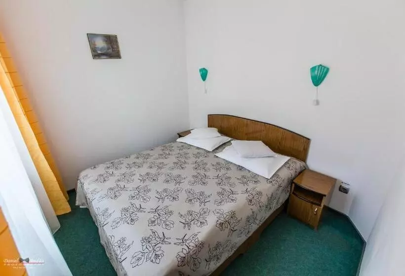 Pensiunea Vila Europa