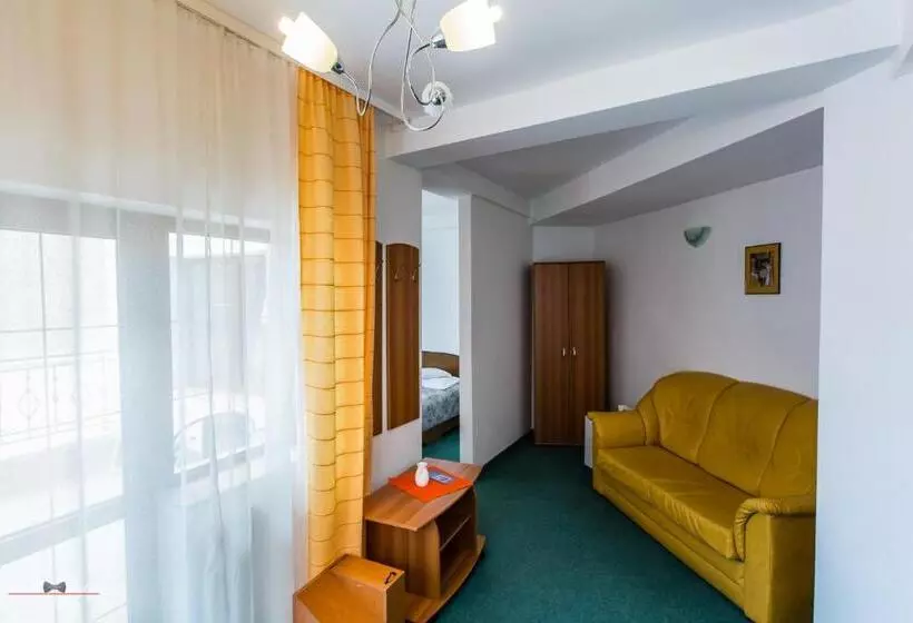 Pensiunea Vila Europa