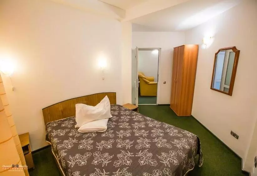 Pensiunea Vila Europa