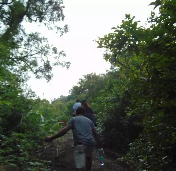 Majatalo Haritha Holidays