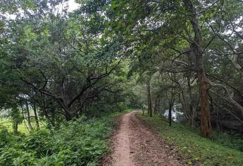 Majatalo Haritha Holidays