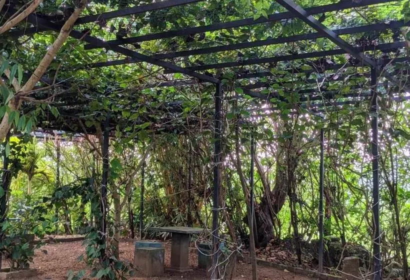 Majatalo Haritha Holidays