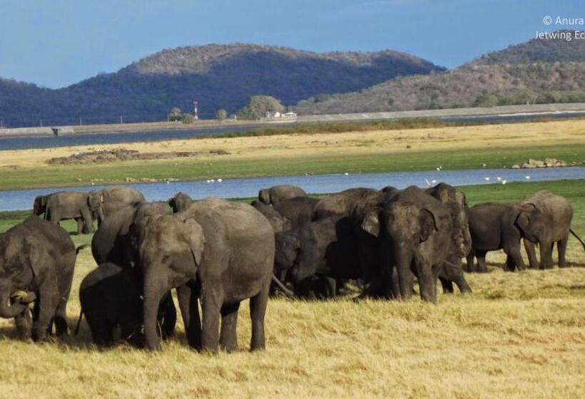 بنسيون Haritha Holidays