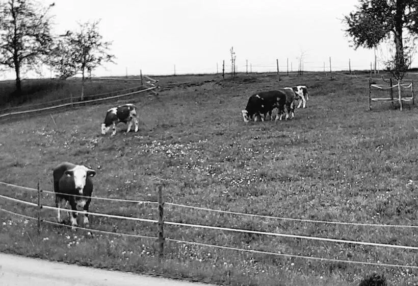 Retkeilymaja Gasthaus Schachinger