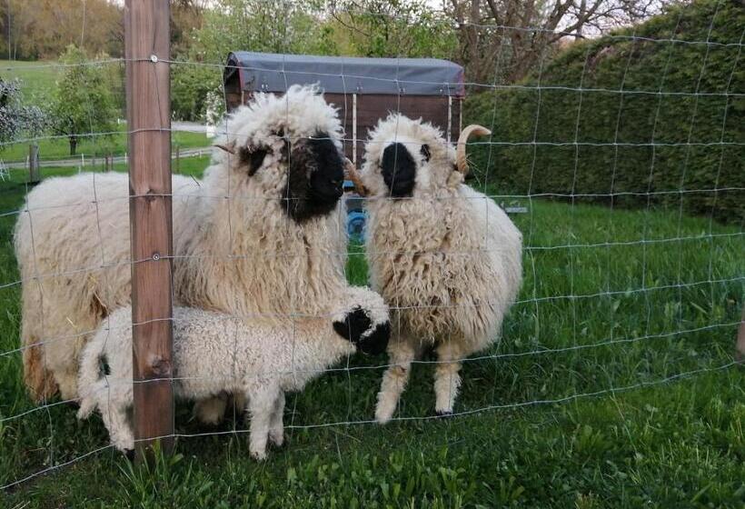 ユースホステル Gasthaus Schachinger