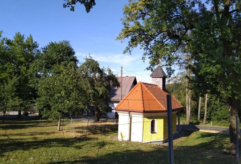 ユースホステル Gasthaus Schachinger