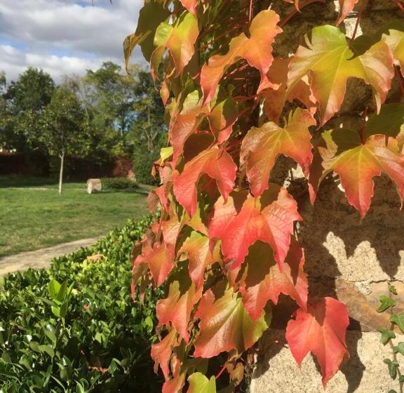 Bed and Breakfast Manoir De Jouralem