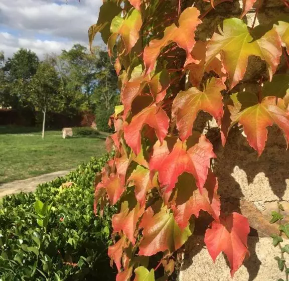 ベッドアンドブレックファースト Manoir De Jouralem