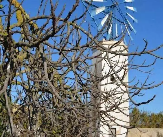 Majatalo Agroturismo Finca Son Amora