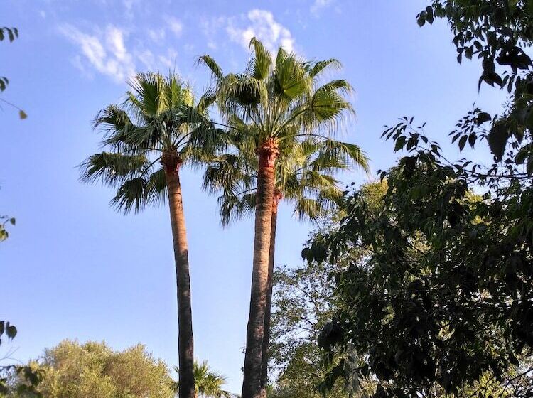 پانسیون Agroturismo Finca Son Amora