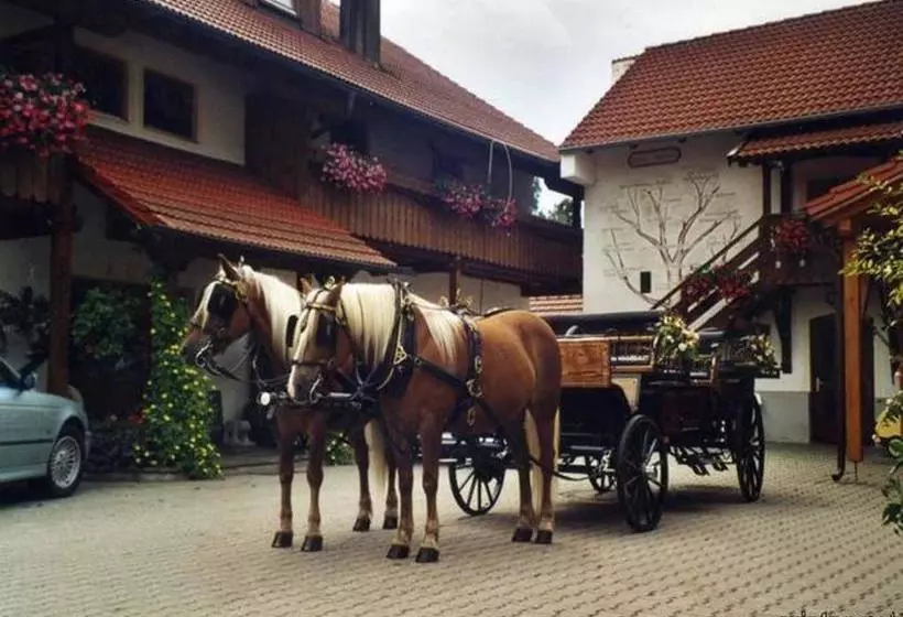 Appartementhaus Haflinger Hof