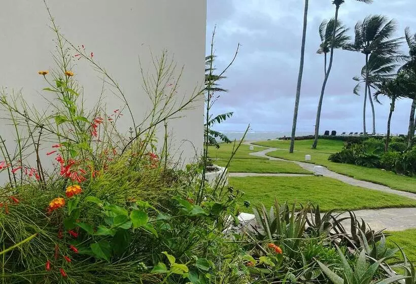 Cabarete Beachfront Condos At Nanny Estate C 5