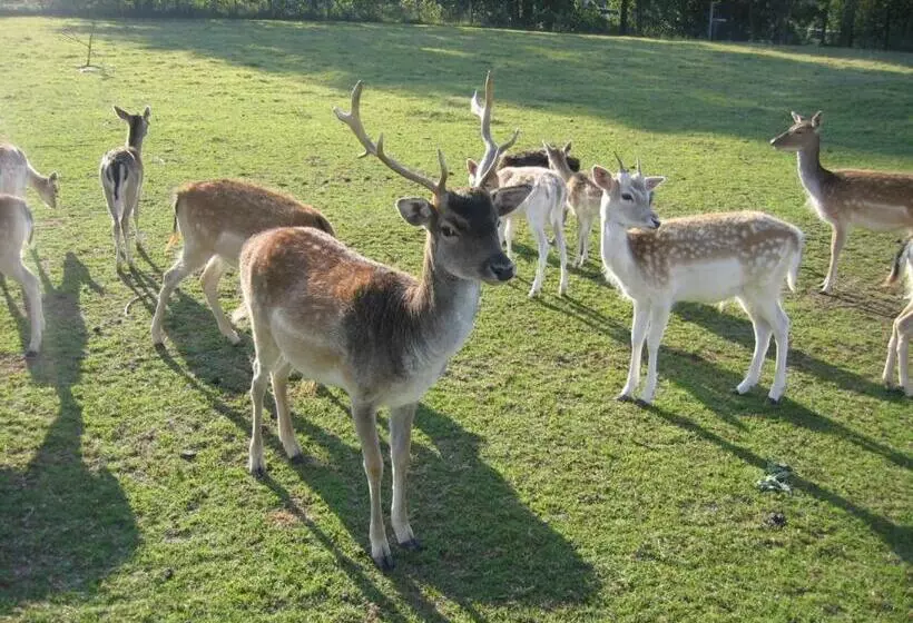 Hotelli Zenntaler Hof