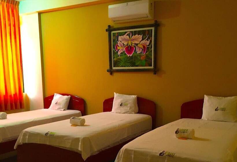 Пансион Lamas Hospedaje