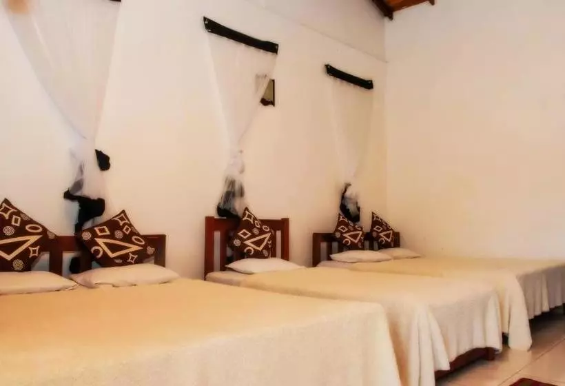 Majatalo Thilina Guest