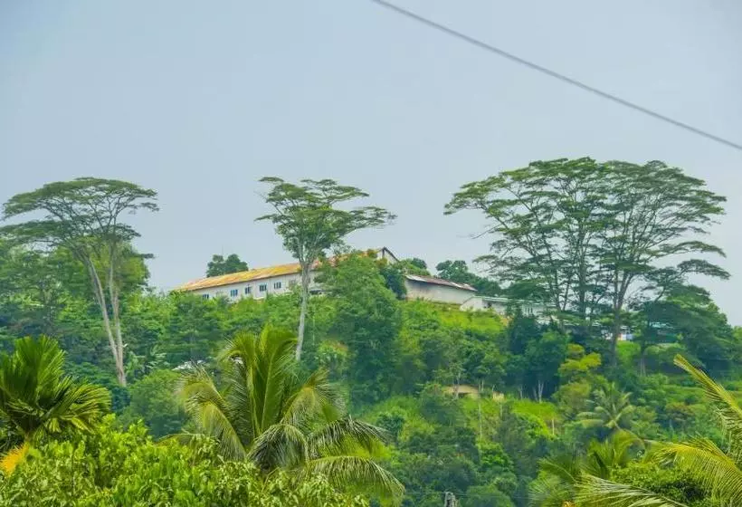 Majatalo Thilina Guest