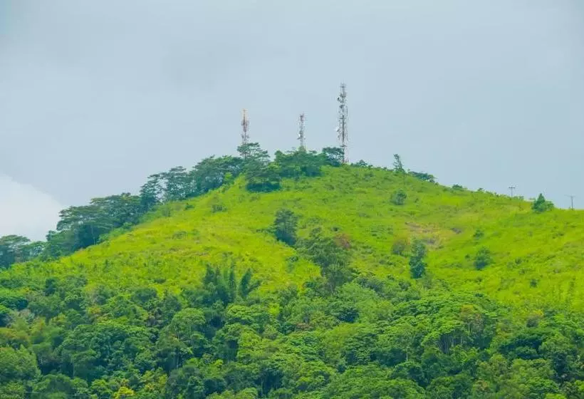 Majatalo Thilina Guest