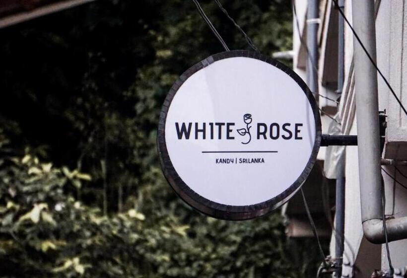 White Rose Hostel