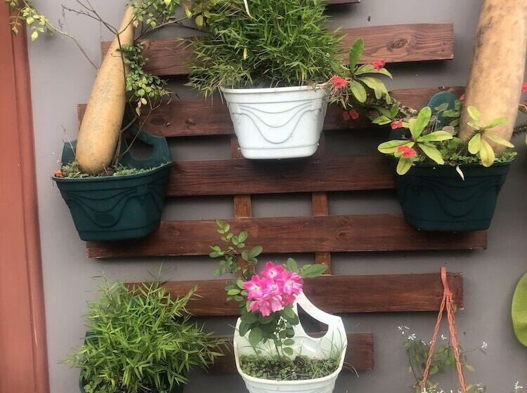 호스텔 Savannah House