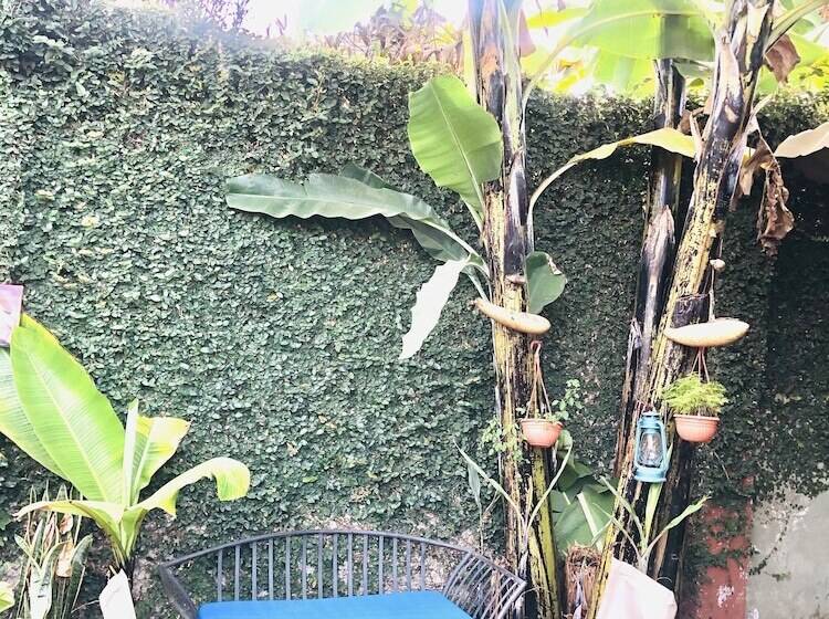 호스텔 Savannah House