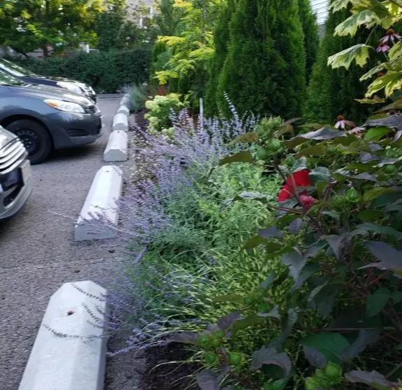 Green Door B&b Brockville