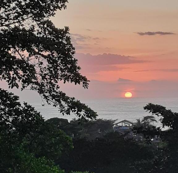 פנסיון Pousada Sol Da Trindade