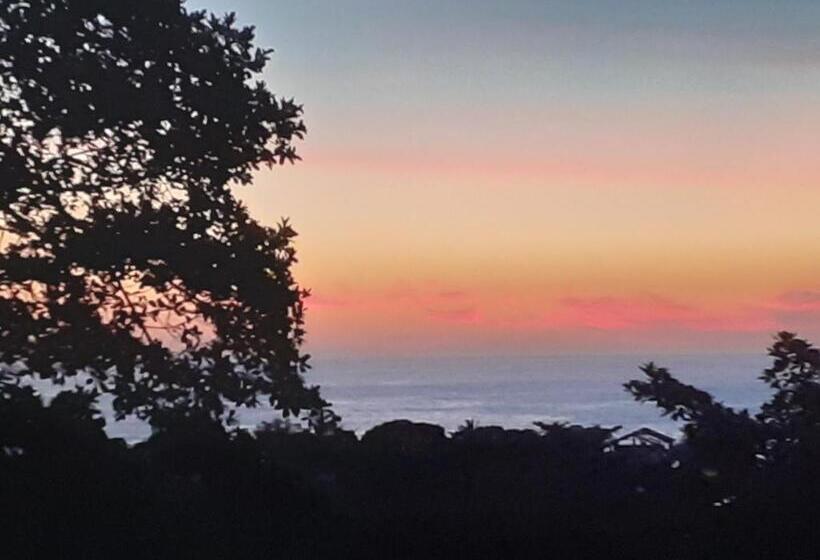 פנסיון Pousada Sol Da Trindade