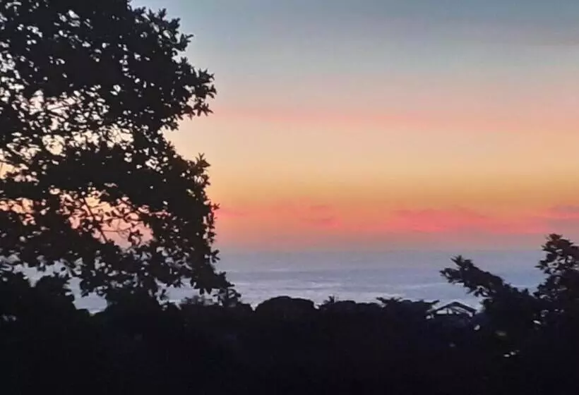 ペンション Pousada Sol Da Trindade