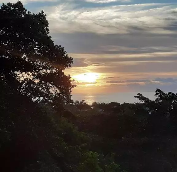 ペンション Pousada Sol Da Trindade