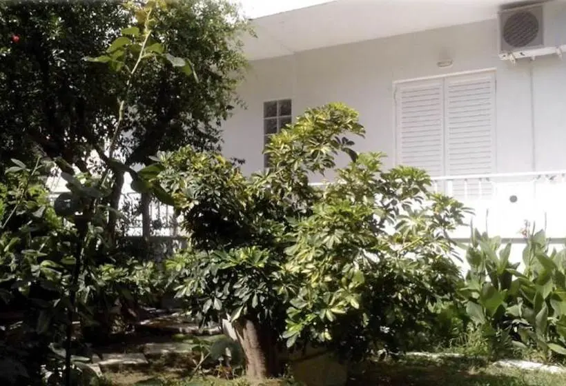 Araliki Apartments & Studios
