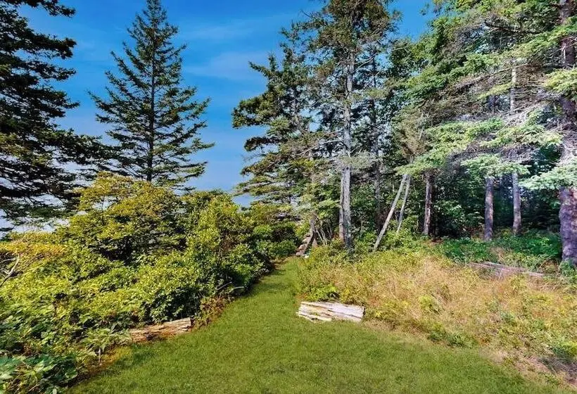 Dog Friendly Oceanfront Cottage With Views