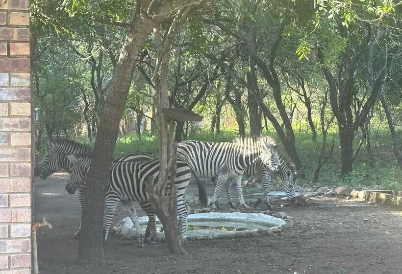 Hotelli Kruger Afrique Lodge