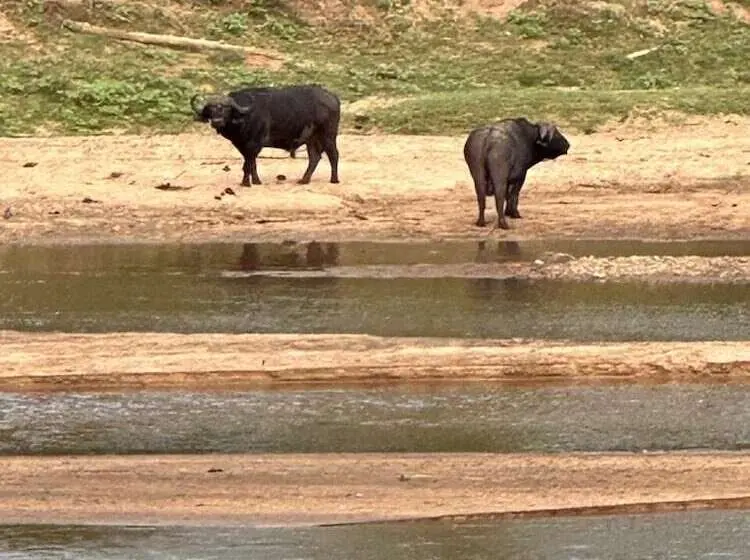 Hotelli Kruger Afrique Lodge