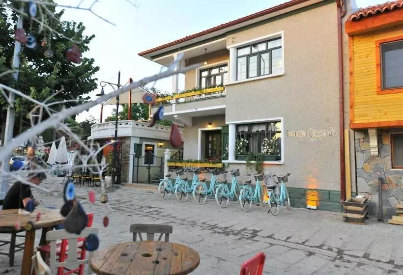 تختخواب و صبحانه Petrino Gökçeada Hotel&kitchen