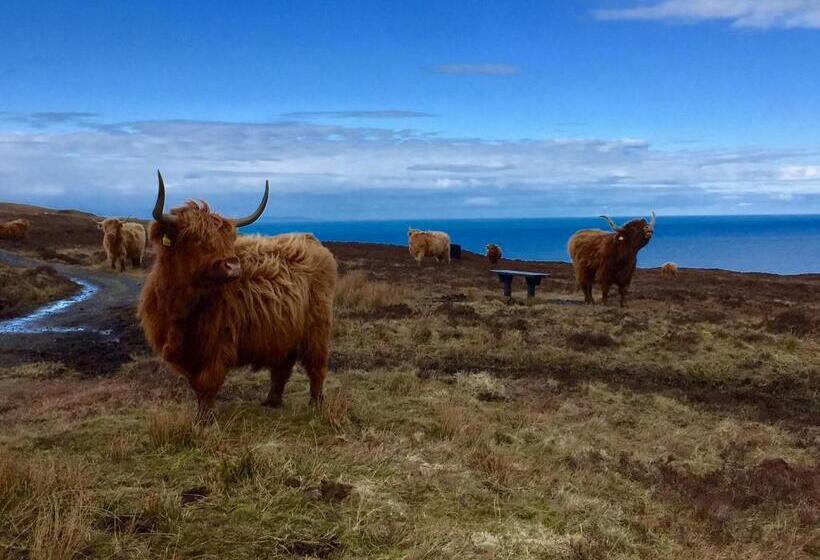 ベッドアンドブレックファースト Tyndrum Lodges
