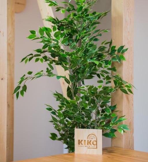 Hostel Kiko