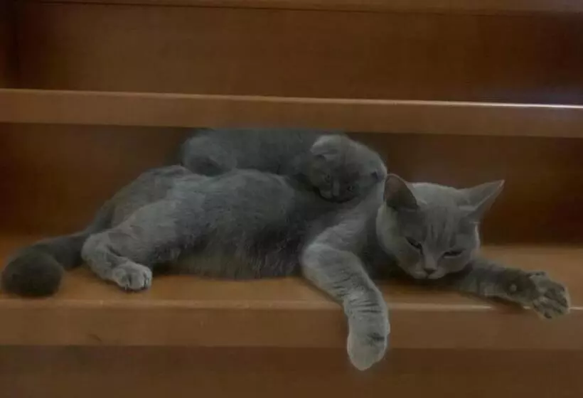 هاستل Ludmila Guest House   гостевой дом людмила