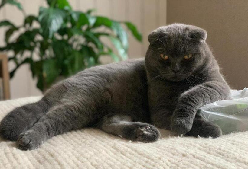 Szálló Ludmila Guest House гостевой дом людмила