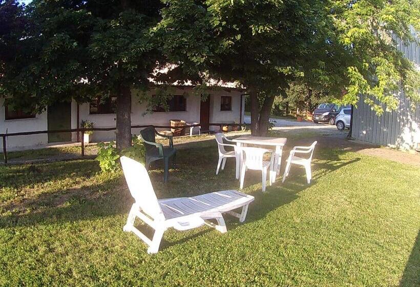 تختخواب و صبحانه Gavi/alice Open Space