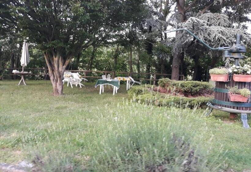 تختخواب و صبحانه Gavi/alice Open Space