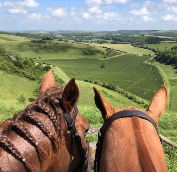 住宿加早餐 Gutchpool Farm