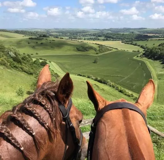 ベッドアンドブレックファースト Gutchpool Farm