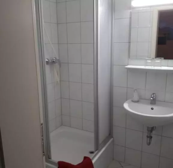 Hotelli Zum Schwarzen Bär