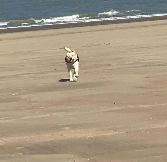 Aamiaismajoitus (B&B) De Backer