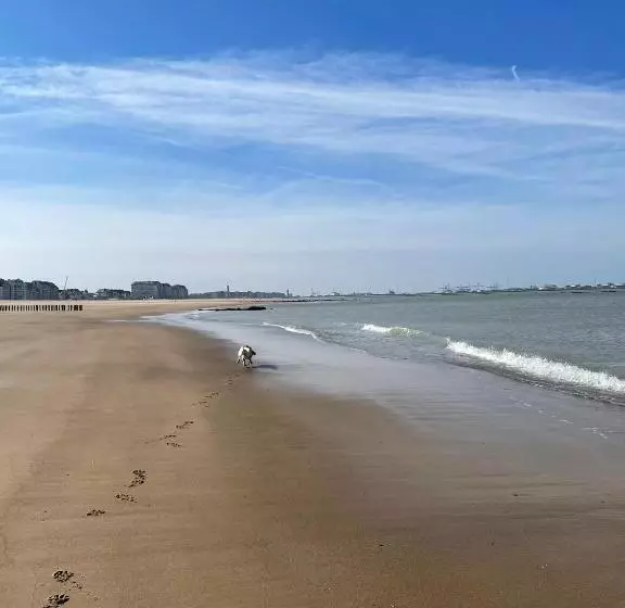 Aamiaismajoitus (B&B) De Backer