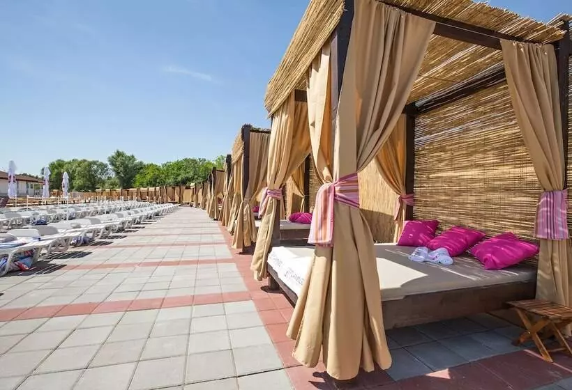 هاستل Flamingo Resort