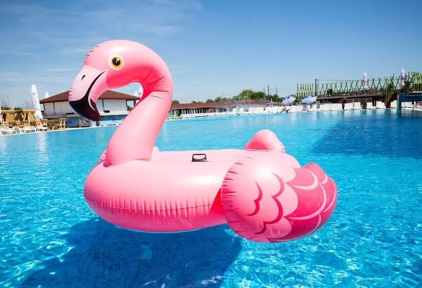 هاستل Flamingo Resort