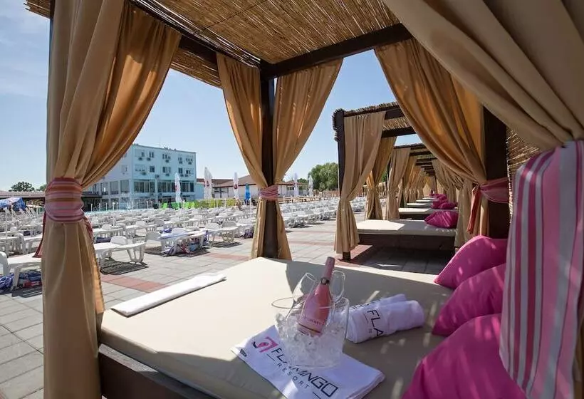 هاستل Flamingo Resort