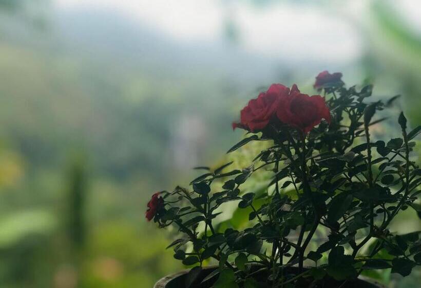 فندق صغير Wood Heart