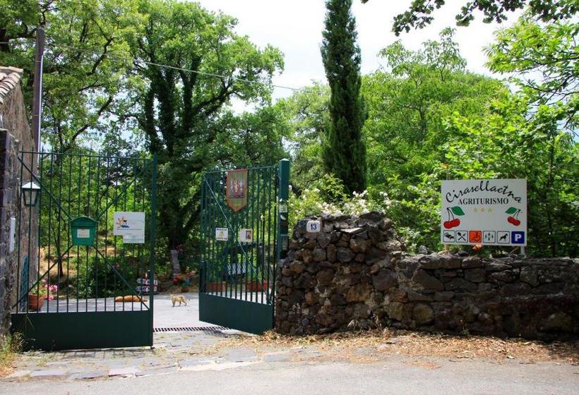 호텔 Cirasellaetna